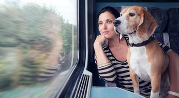 A woman is on a train and looks out of the window. Her dog is sitting on her lap.