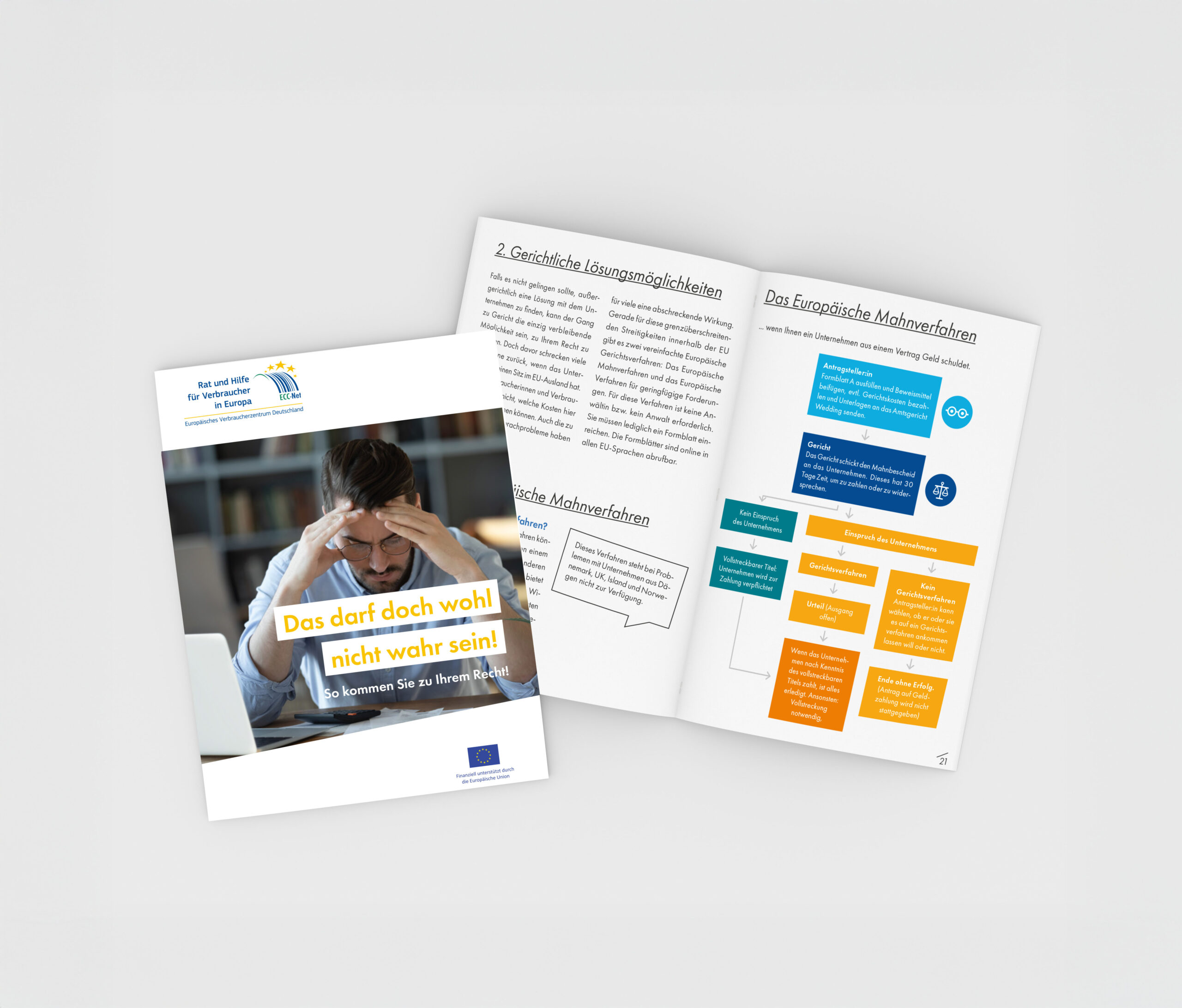 Coverbild: Gerichtsverfahren in Deutschland und im EU-Ausland - 