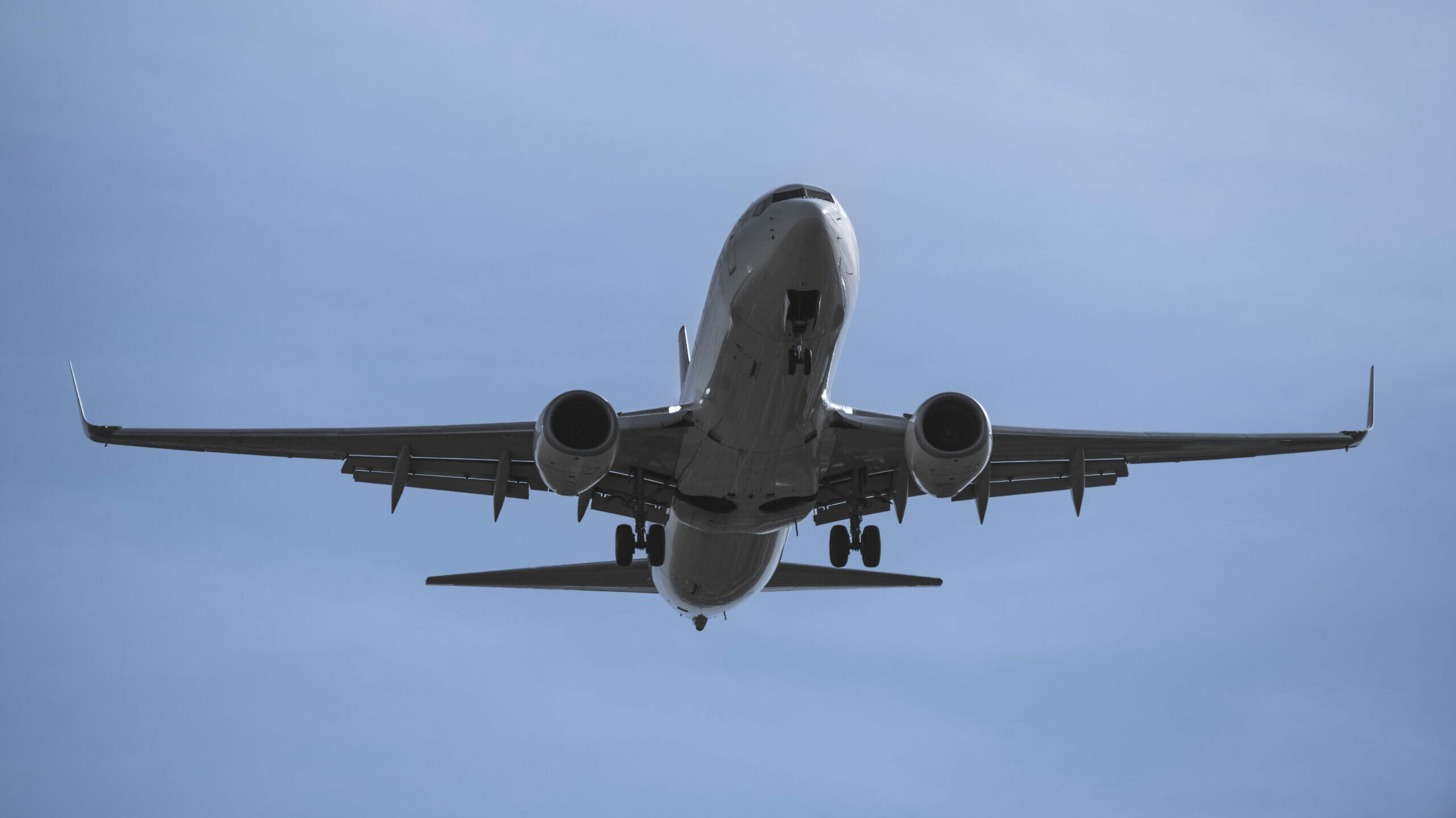 Nahaufnahme eines Flugzeugs in der Luft von unten vor einem blauen Himmel