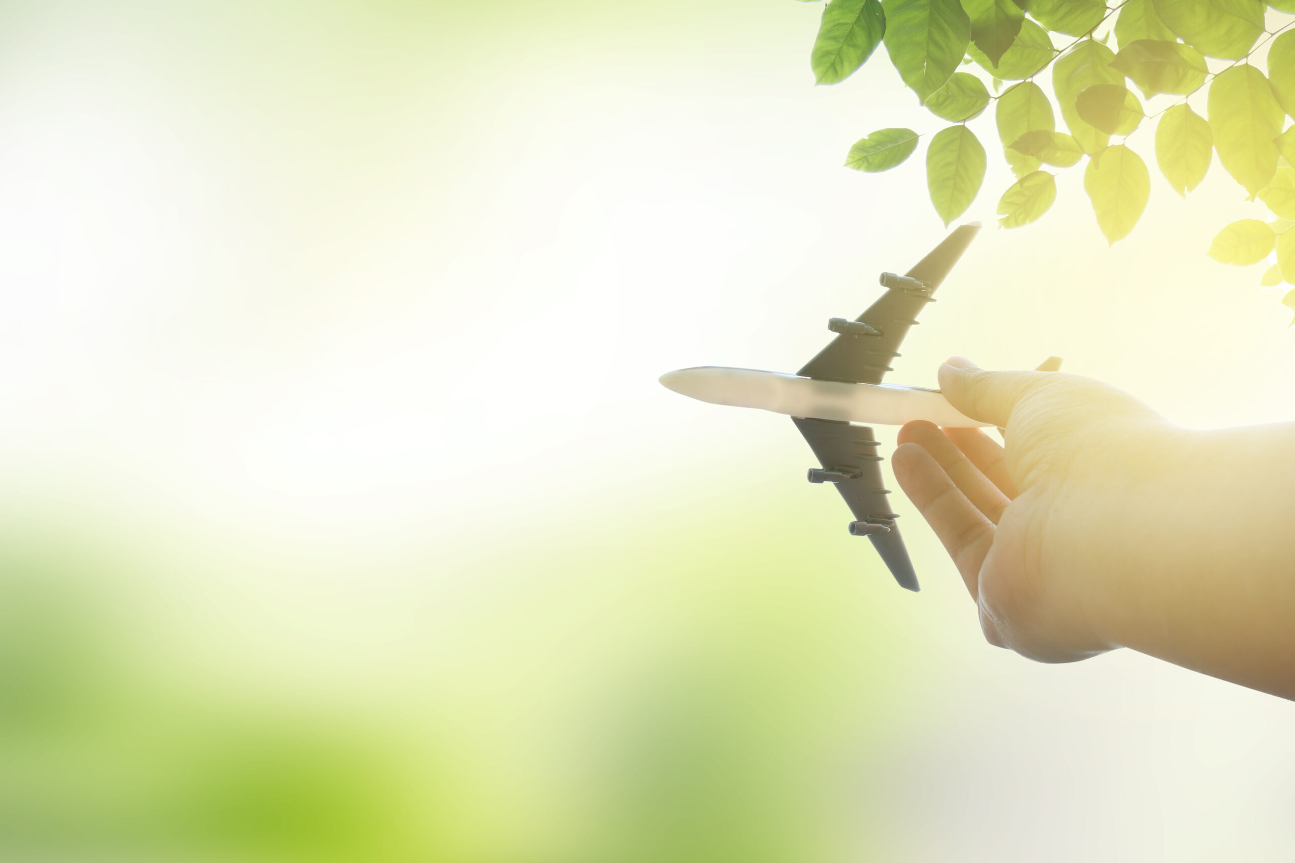 hand holding airplane against nature background