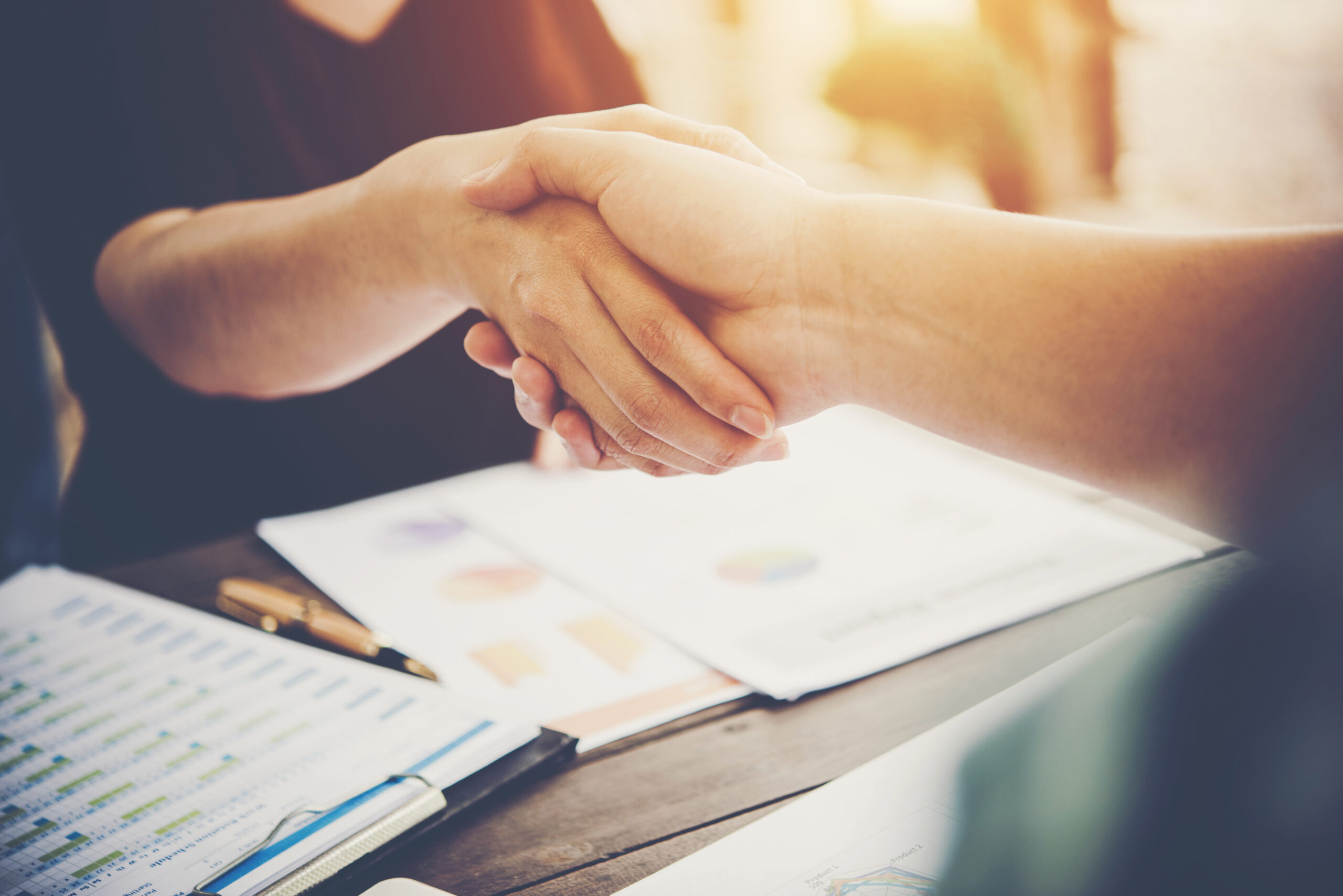 Close-up of two business people shaking hands while sitting at t