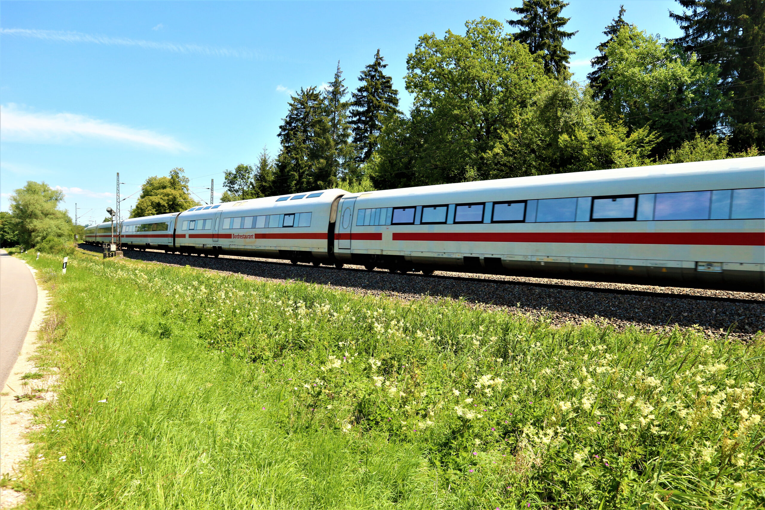 ICE fährt durch eine grüne Landschaft