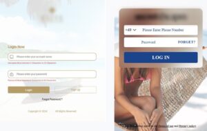 Screenshot einer Plattform, über die Arbeitsaufträge entgegengenommen und angebliche „Geldeingänge“ eingesehen werden können