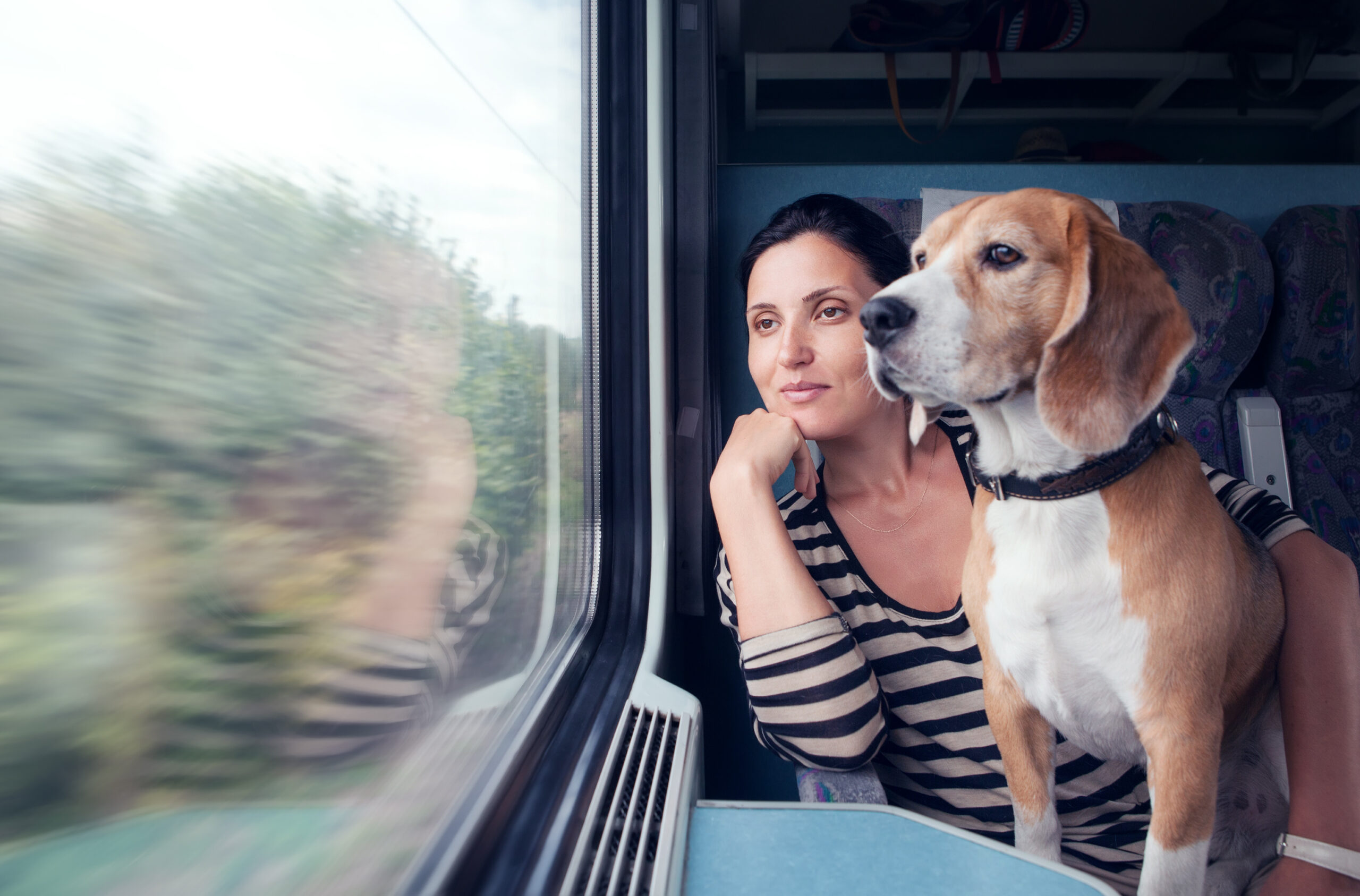 A woman and a dog look out of the window while sitting in a moving train