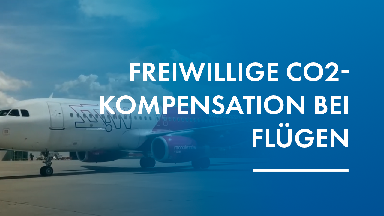 Thumbnail zum YouTube-Video 