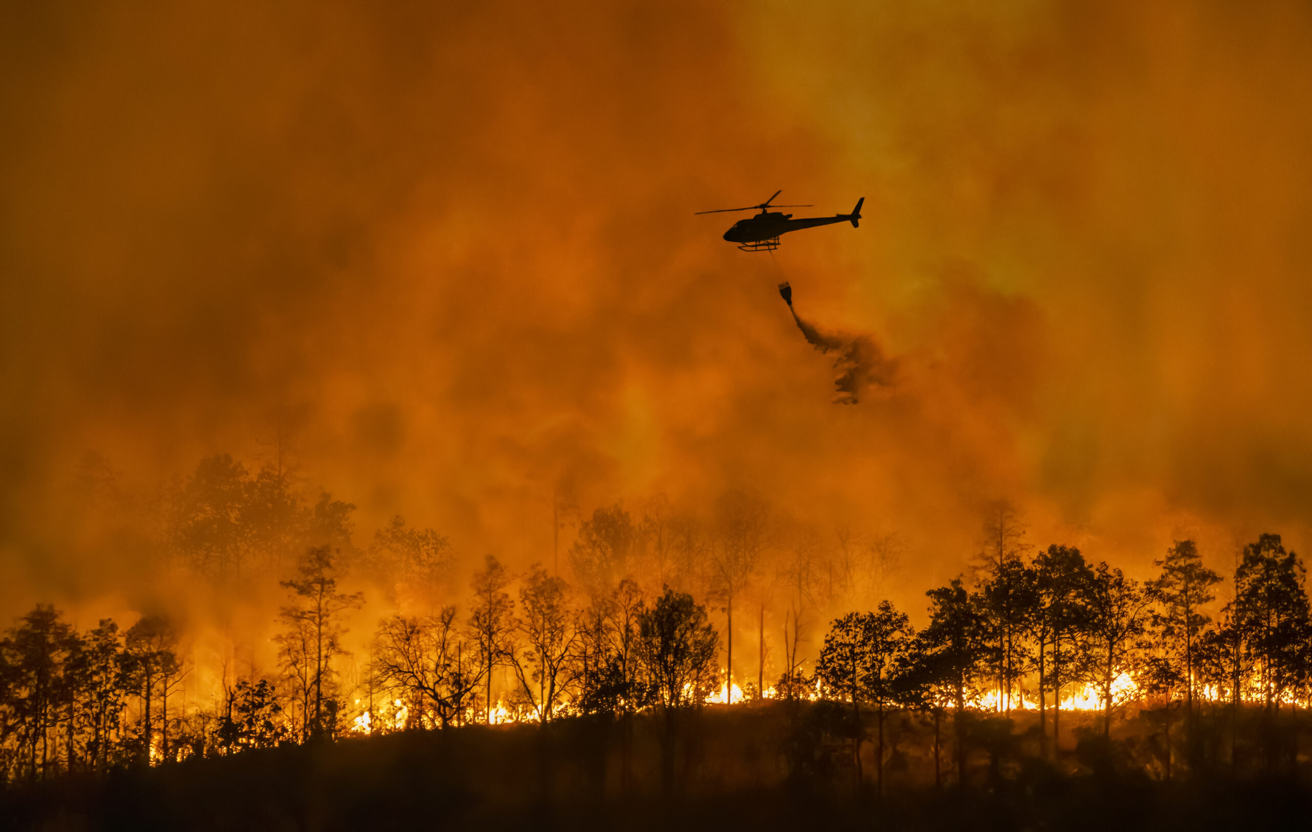 Löschhubschrauber, der einen Waldbrand bekämpft
