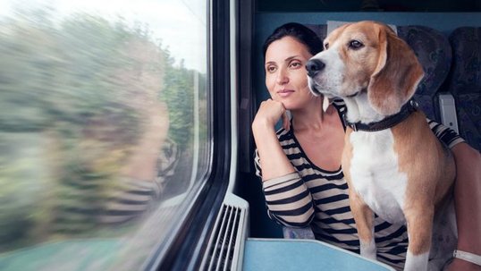 Eine Frau ist in einem Zug und schaut aus dem Fenster. Auf ihrem Schoß sitzt ihr Hund.