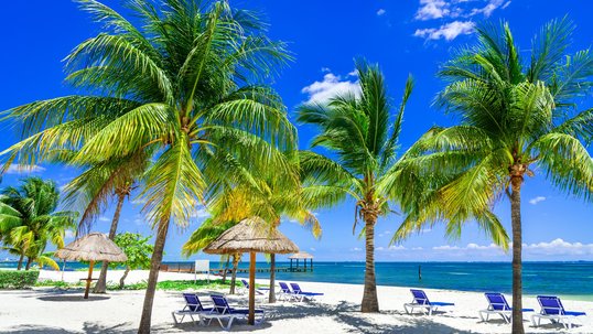 Palmenstrand auf der Pauschalreise Urlauber verbinden mit Pauschalreisen oft Strand, Palmen und Meer.