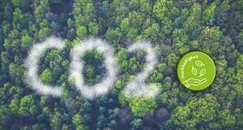 Ein Wald aus der Vogelperspektive. Auf dem Bild befindet sich der Schriftzug: CO2 & Nachhaltigkeit.