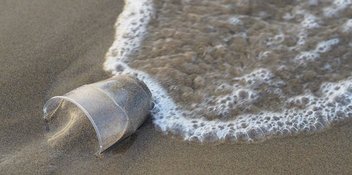 Ein Plastikbecher liegt an einem Strand im Sand.
