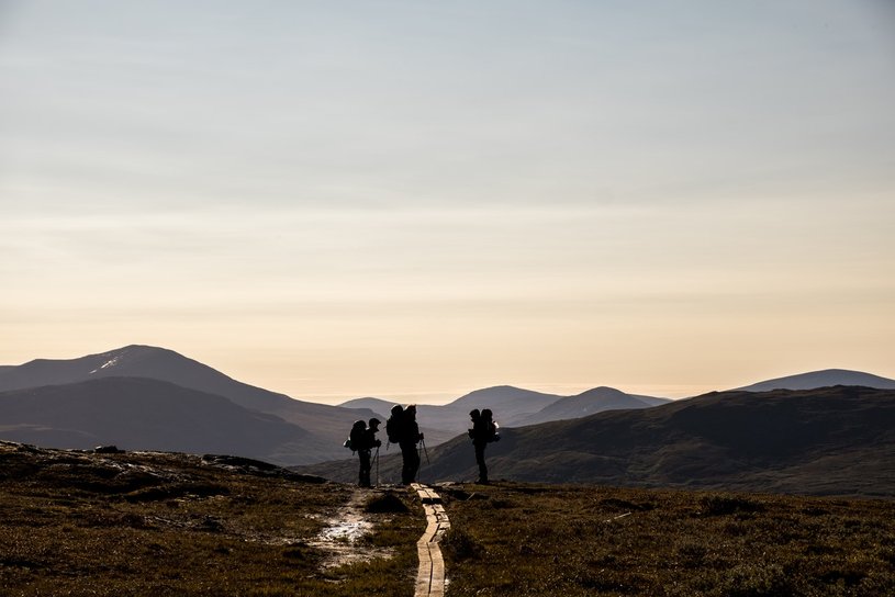 Drei Backpacker auf Wanderung in schwedischer Landschaft